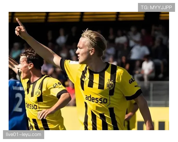 德甲焦点战：多特蒙德士气如虹，黄黑军团强势迎战强敌