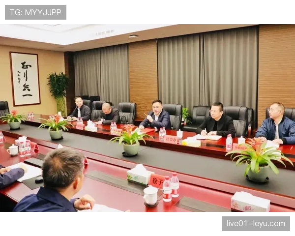 新策略显成效：梅赫伦中路渗透分析推动城市交通优化与安全升级