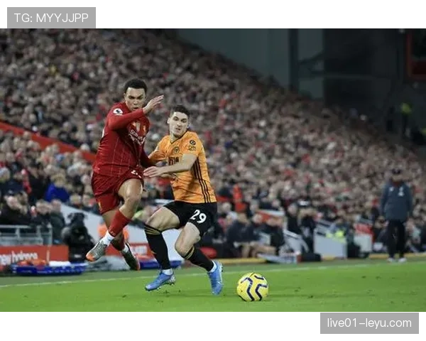 狼队新球场盛大揭幕，开启未来足球观赛新纪元