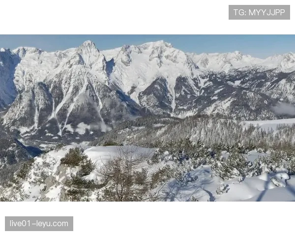 尼古拉斯·德拉克鲁斯：重塑当代艺术格局的先锋力量