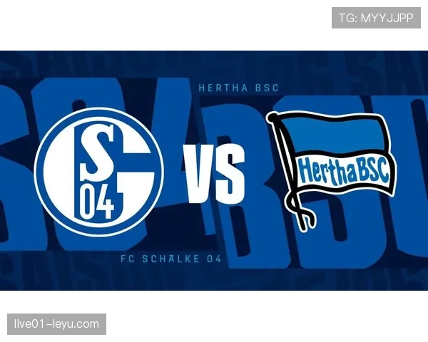 沙尔克球队结构